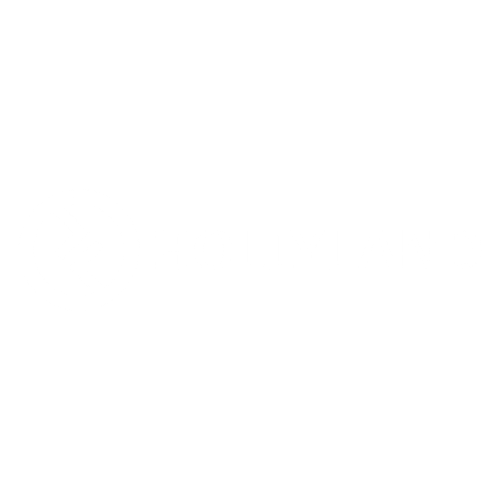 Hollyland