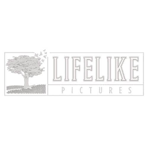 Lifelike Pictures