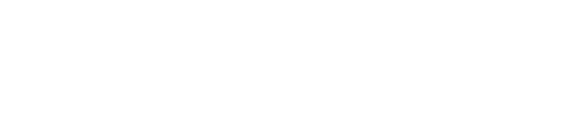 Hollyland